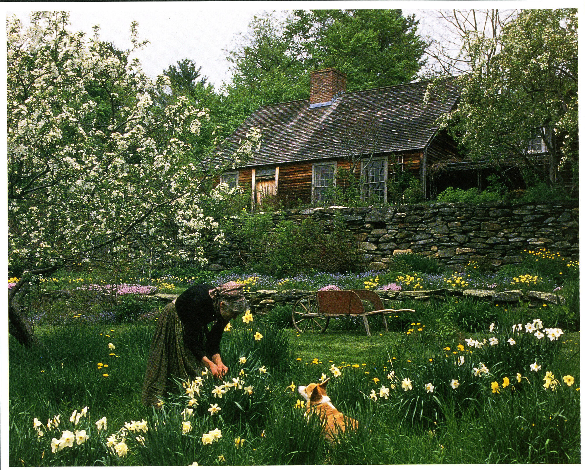 CORGI COTTAGE GARDEN | Tasha Tudor | 1st Edition CORGI COTTAGE GARDEN | Tasha Tudor | 1st Edition